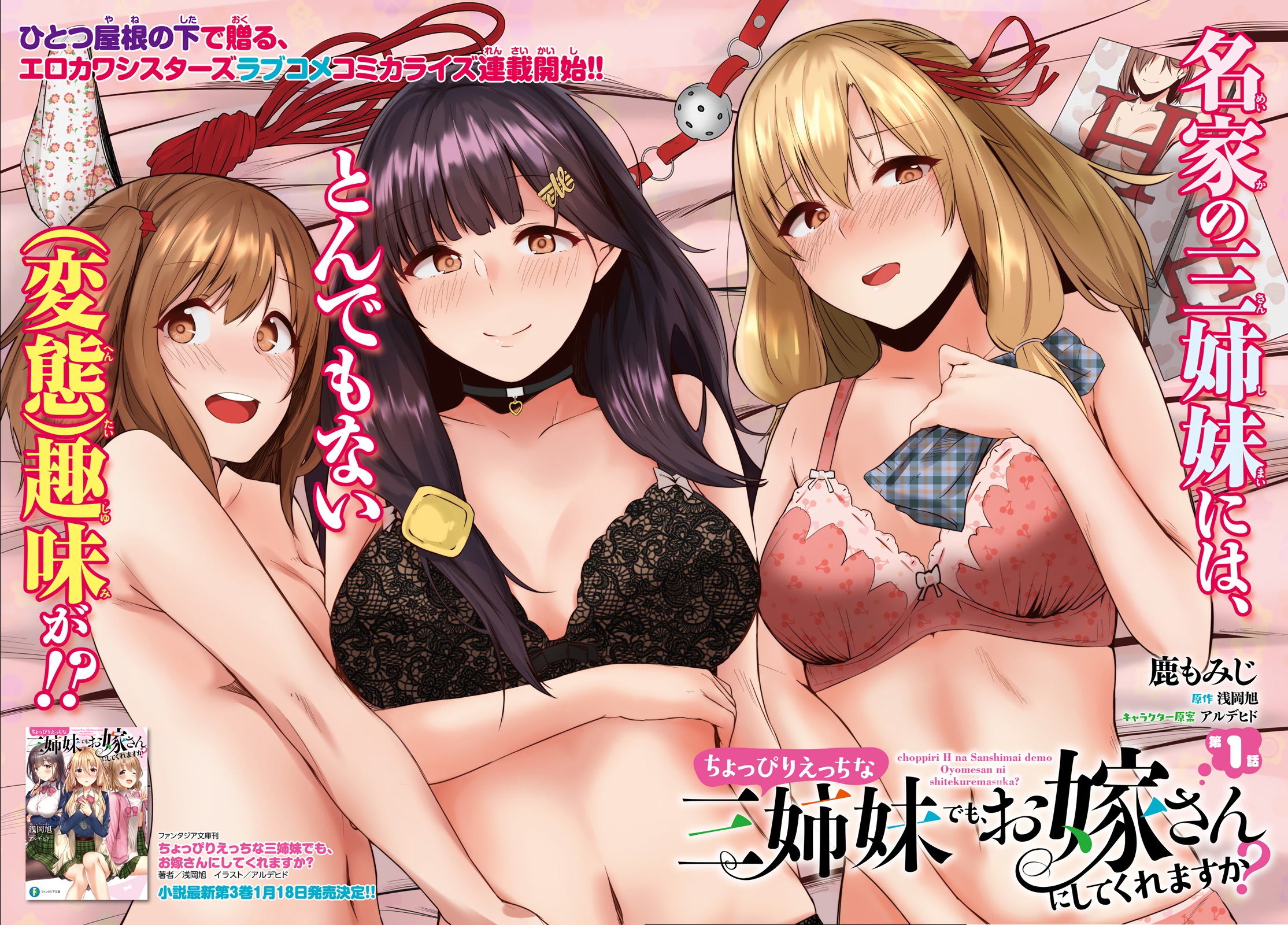 Could You Turn Three Perverted Sisters Into Fine Brides? ch.2