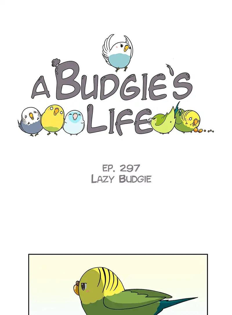 A Budgie's Life Chapter 298: Ep.297: