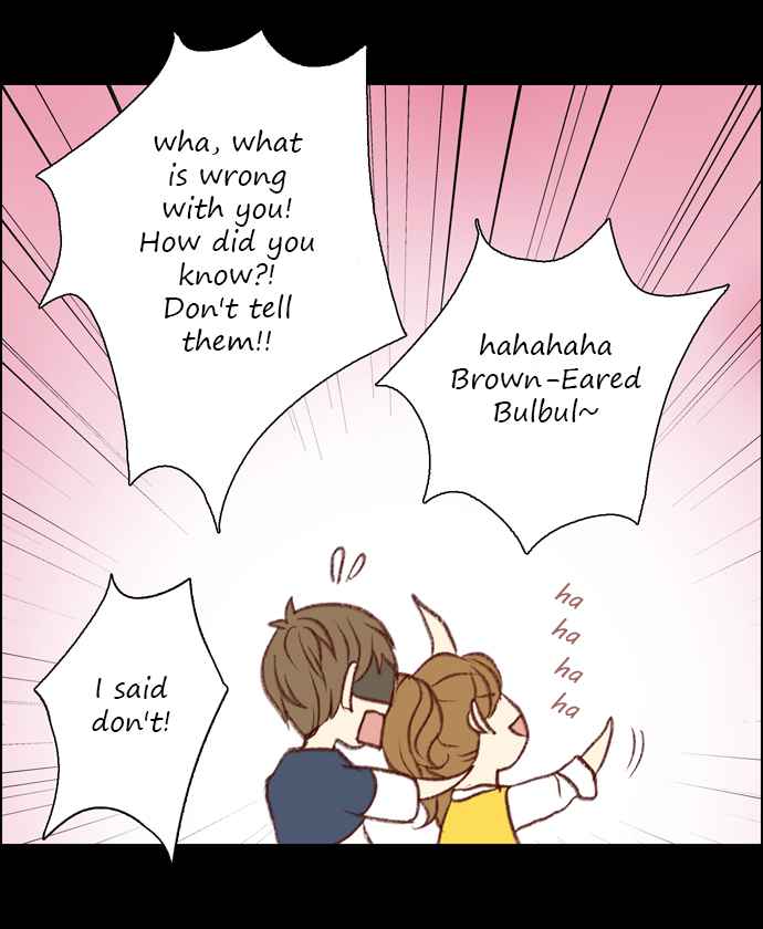 My Girlfriend is a Real Man Ch. 14 What is a Brown Eared Bulbul