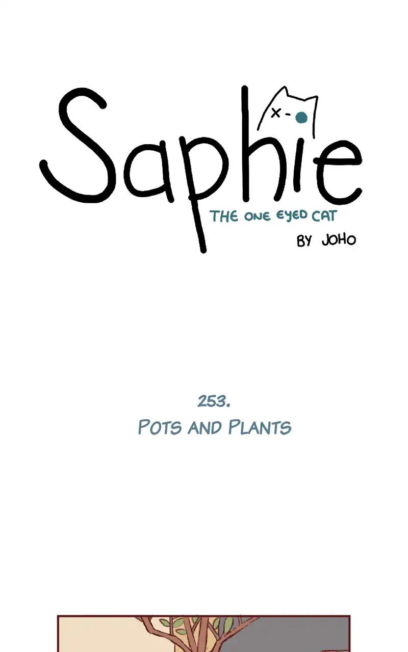 Saphie: The One-Eyed Cat Chapter 253: