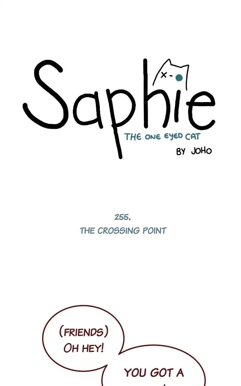 Saphie: The One-Eyed Cat Chapter 255: