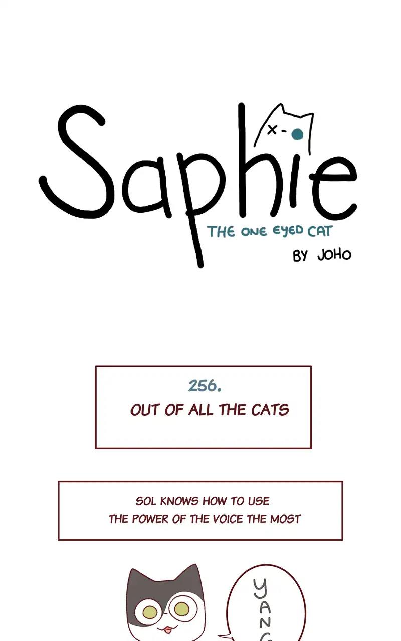 Saphie: The One-Eyed Cat Chapter 256: