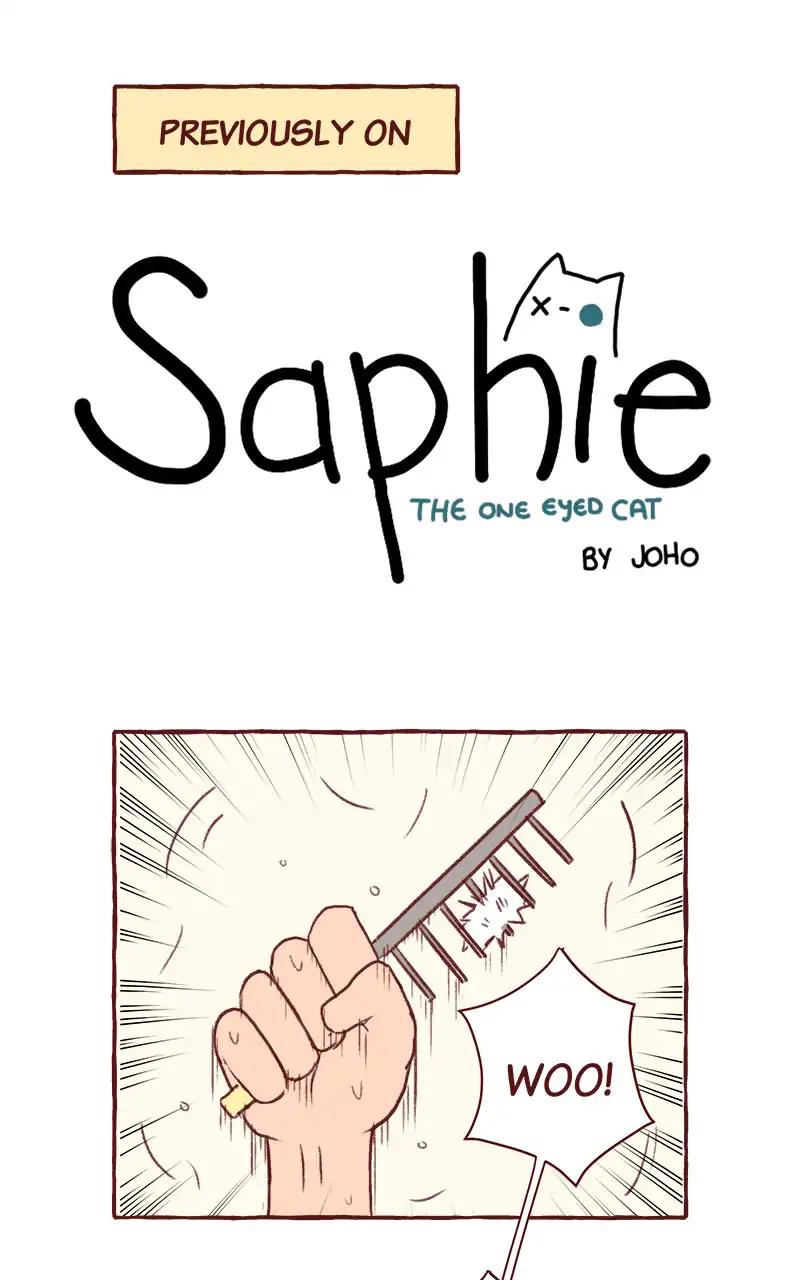 Saphie: The One-Eyed Cat Chapter 317: