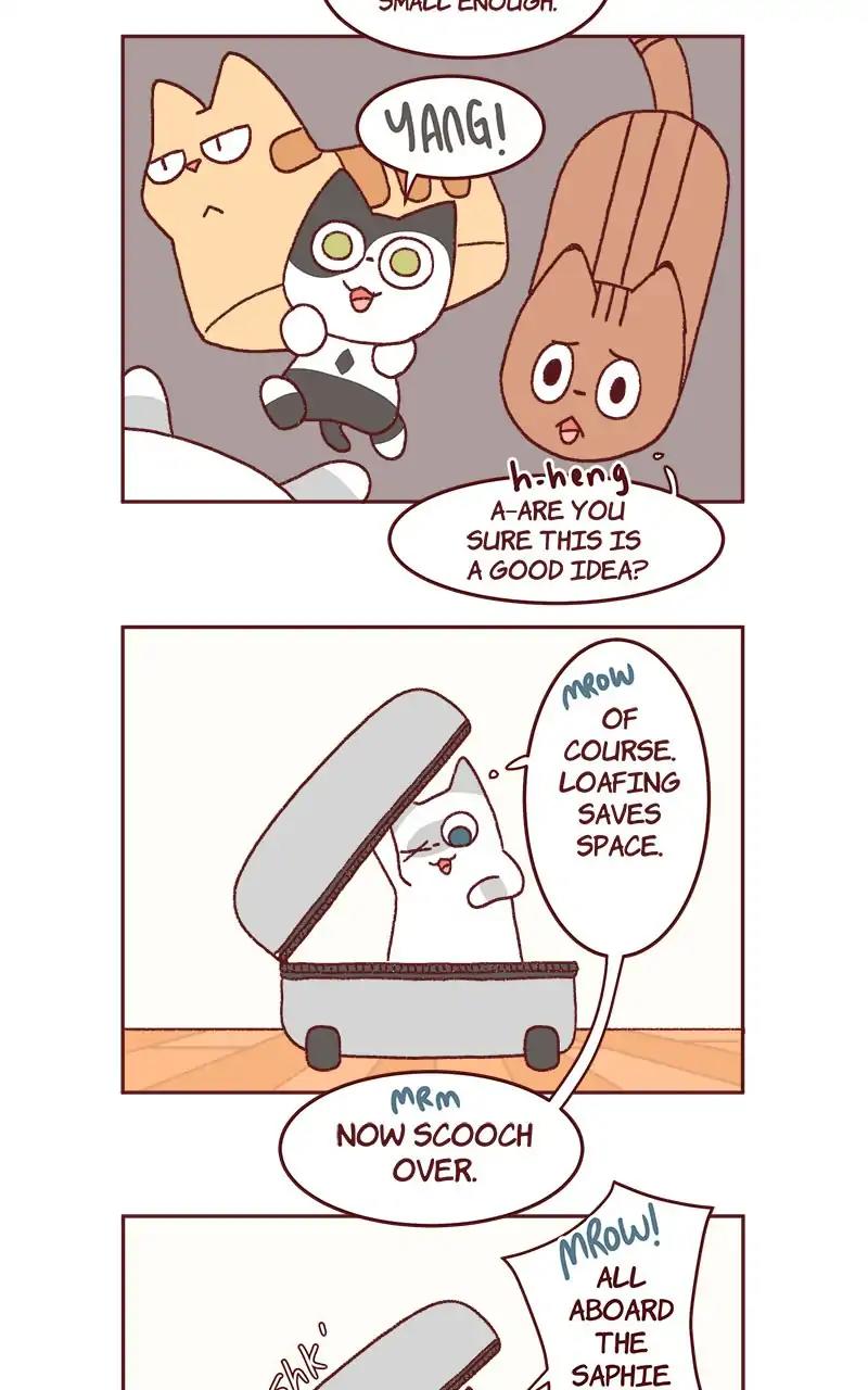 Saphie: The One-Eyed Cat Chapter 321: