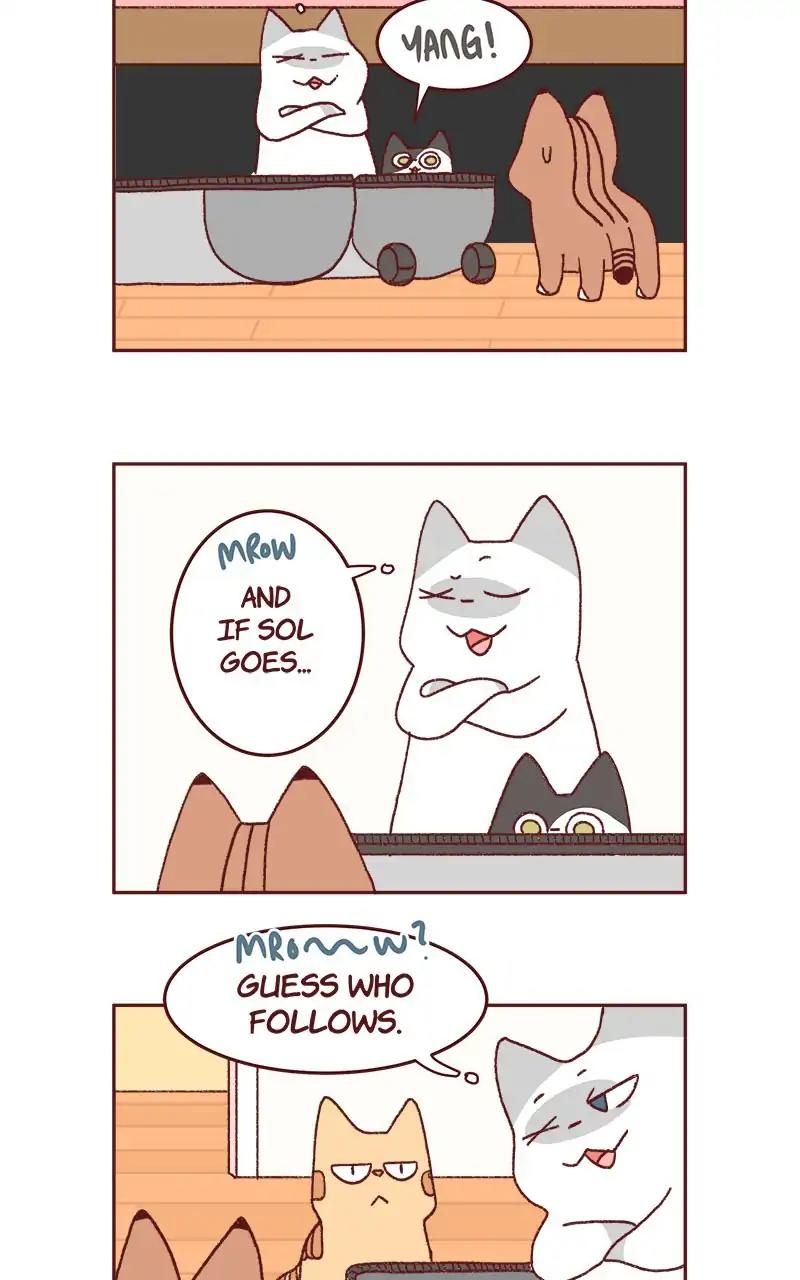 Saphie: The One-Eyed Cat Chapter 321: