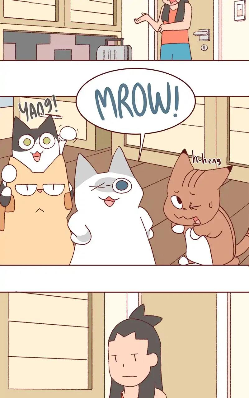 Saphie: The One-Eyed Cat Chapter 322: