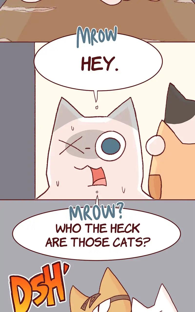 Saphie: The One-Eyed Cat Chapter 331: