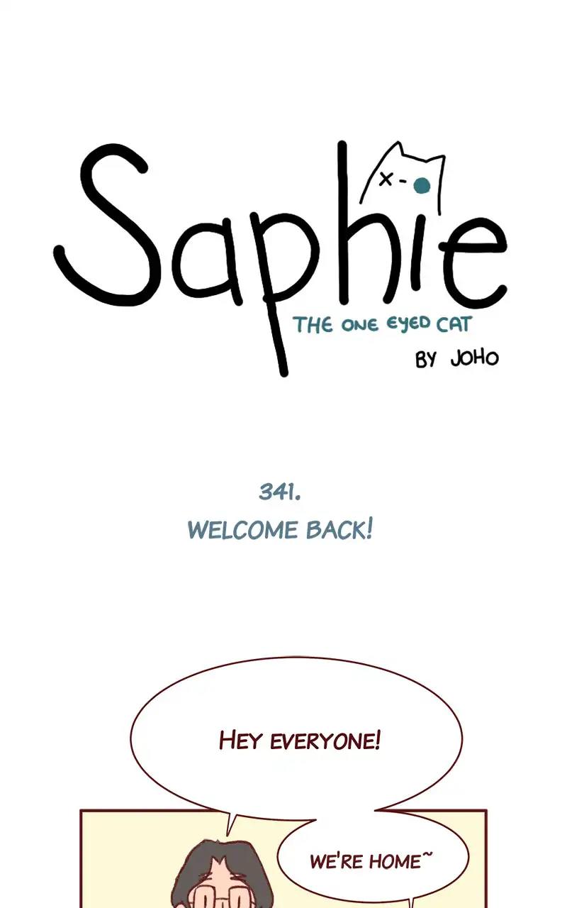 Saphie: The One-Eyed Cat Chapter 343: