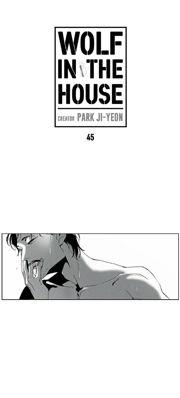 Wolf In The House Chapter 45