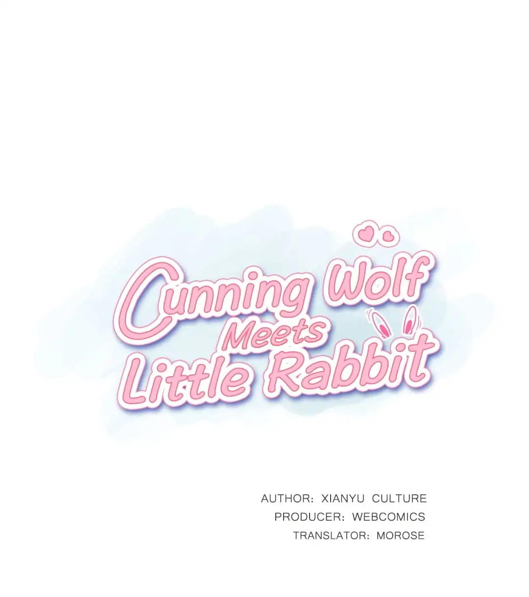 Cunning Wolf Meets Little Rabbit Chapter 1