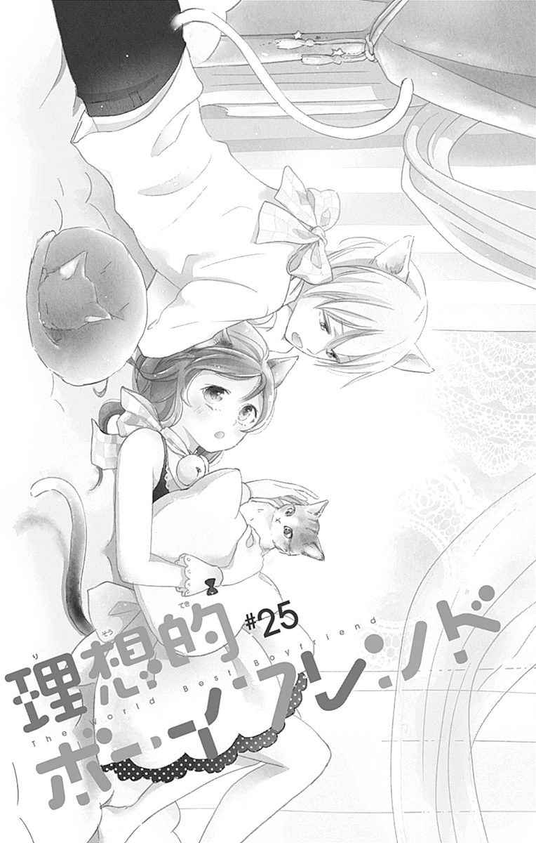 Risouteki Boyfriend Vol. 7 Ch. 25 #25