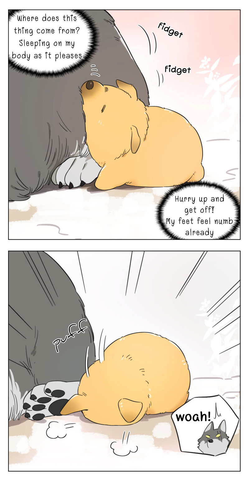 Papa Wolf and The Puppy Ch. 1
