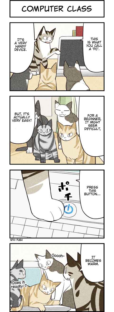 We Are Cats Ch. 33