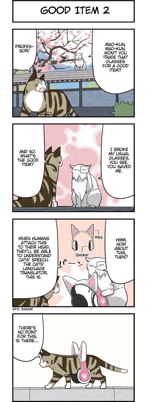 We Are Cats Ch. 47