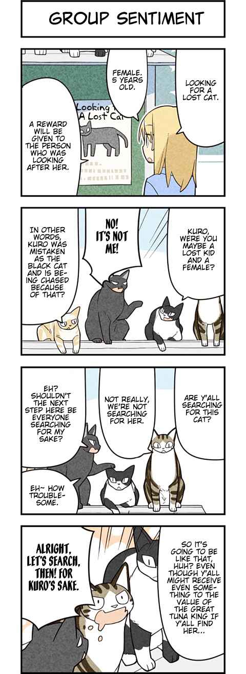 We Are Cats Ch. 55