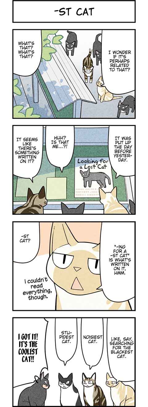 We Are Cats Ch. 55