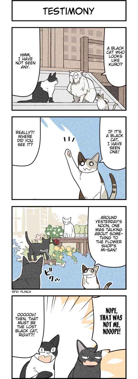 We Are Cats Ch. 56