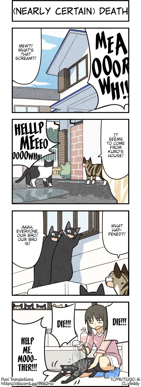 We Are Cats Ch. 60