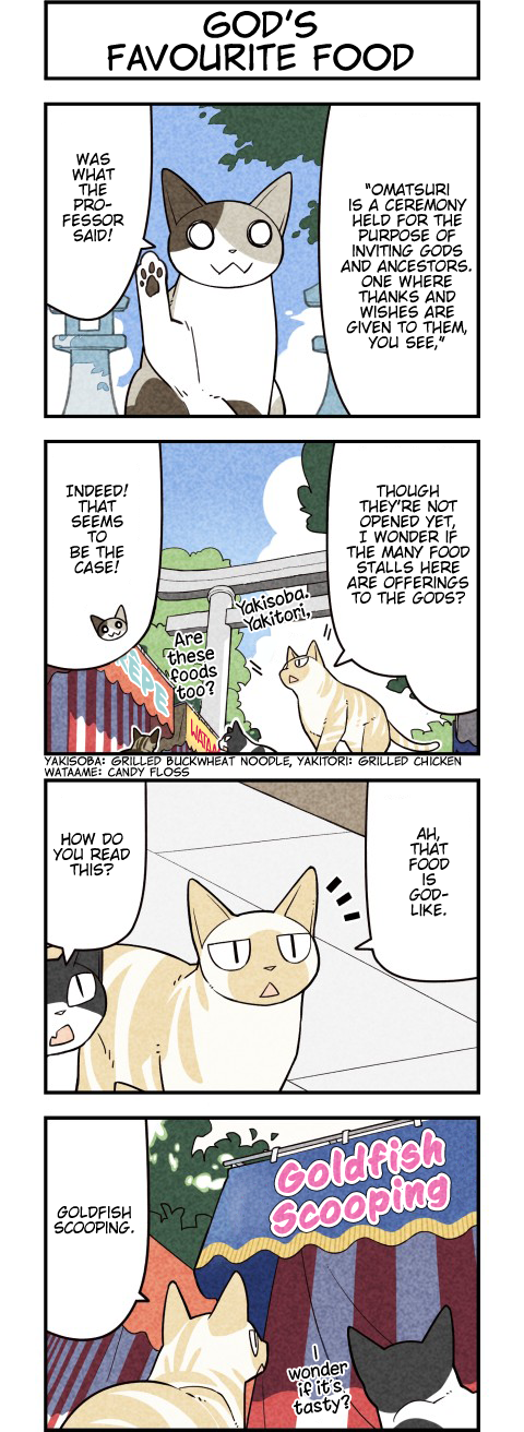 We Are Cats Chapter 68