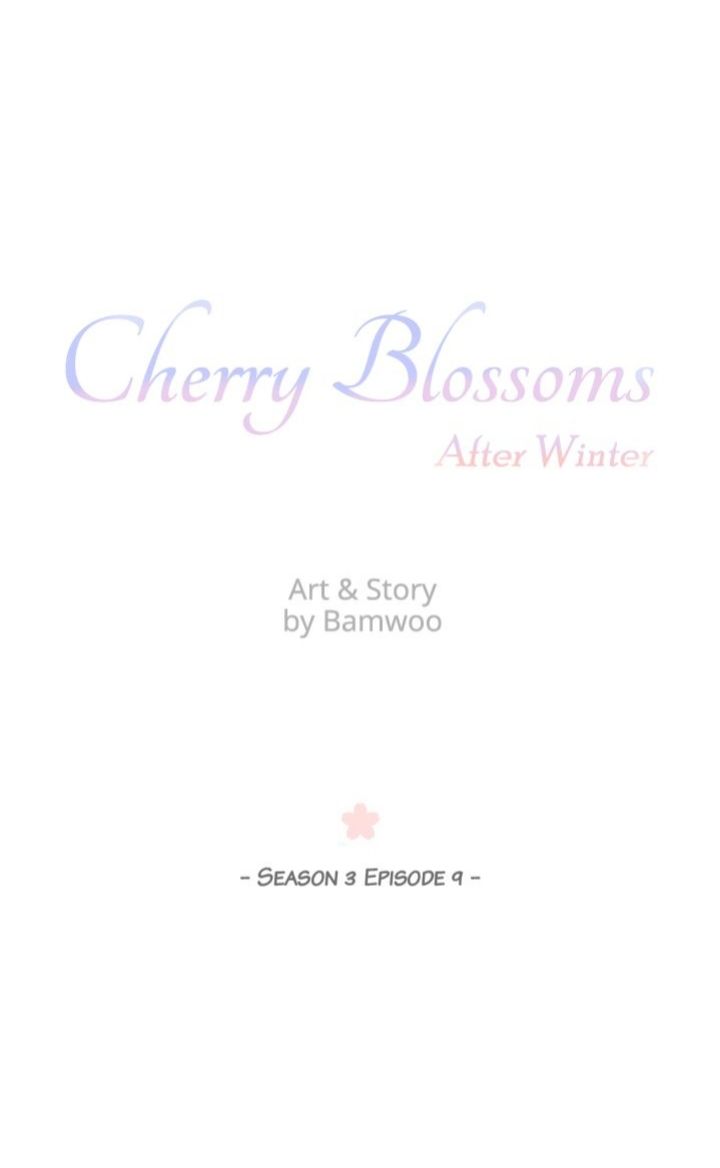 Cherry Blossoms After Winter Chapter 71