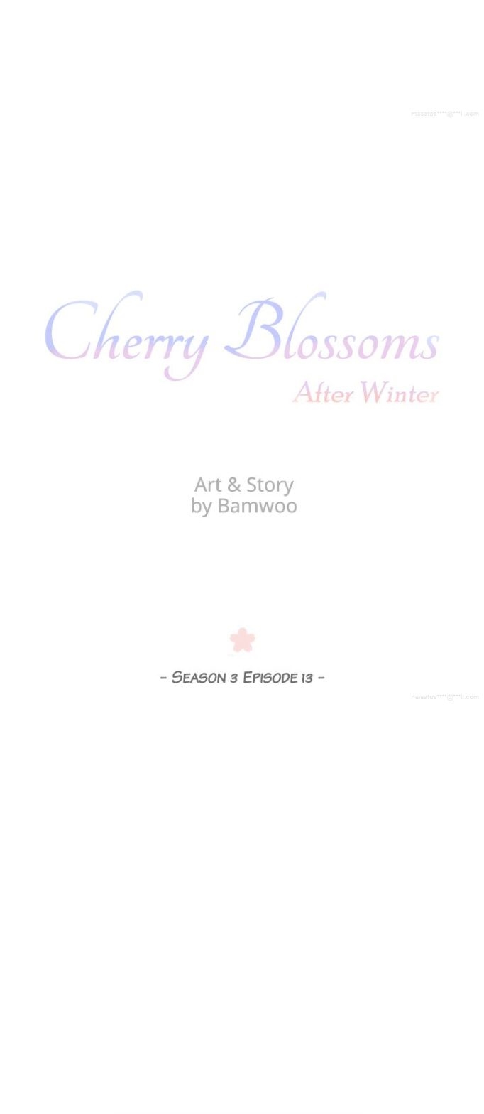 Cherry Blossoms After Winter Chapter 75