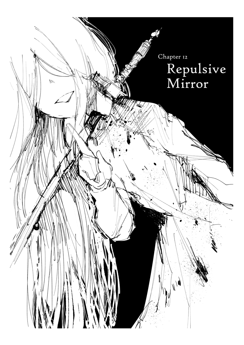 Project SHaDe Repulsive Mirror