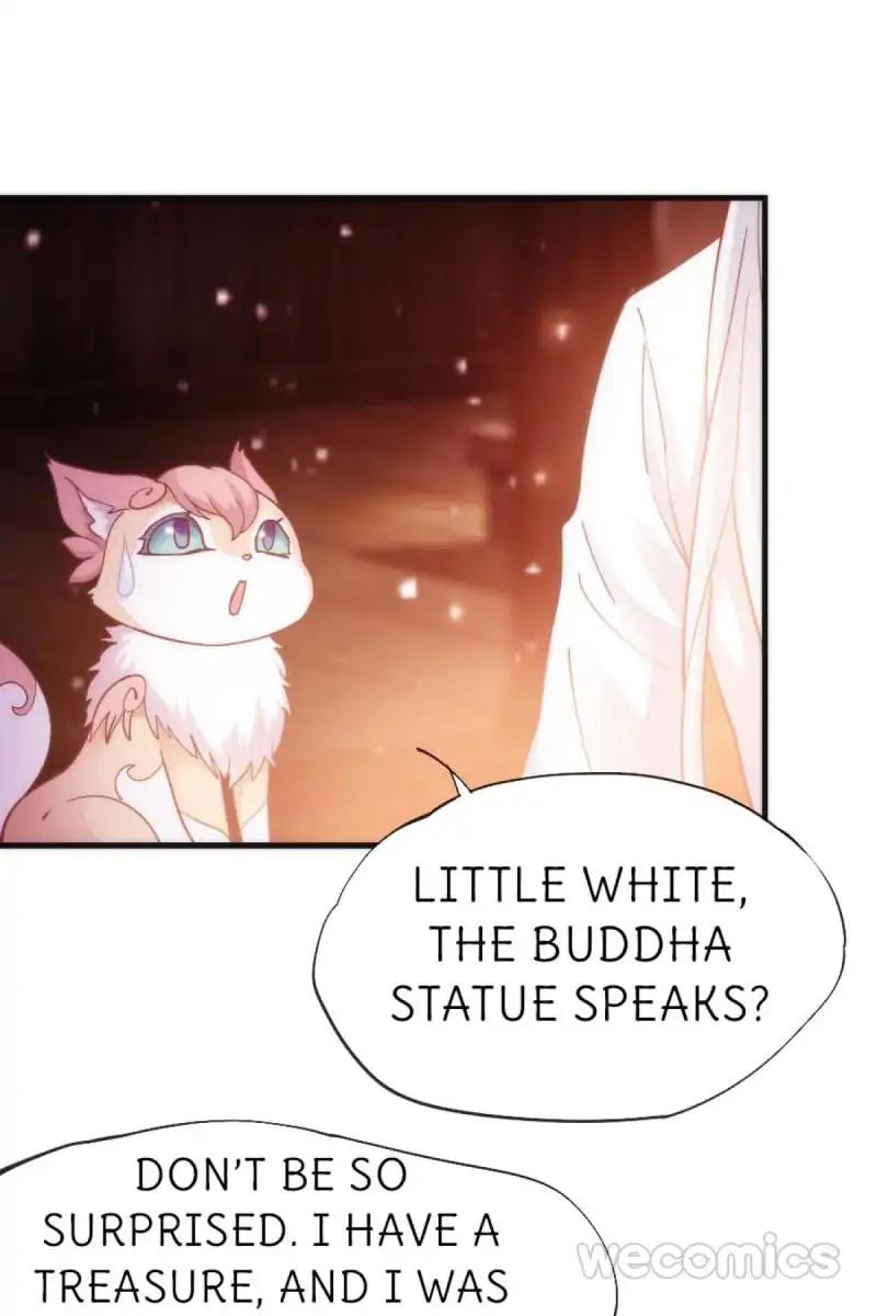 Oh My Little White Dragon Chapter 33