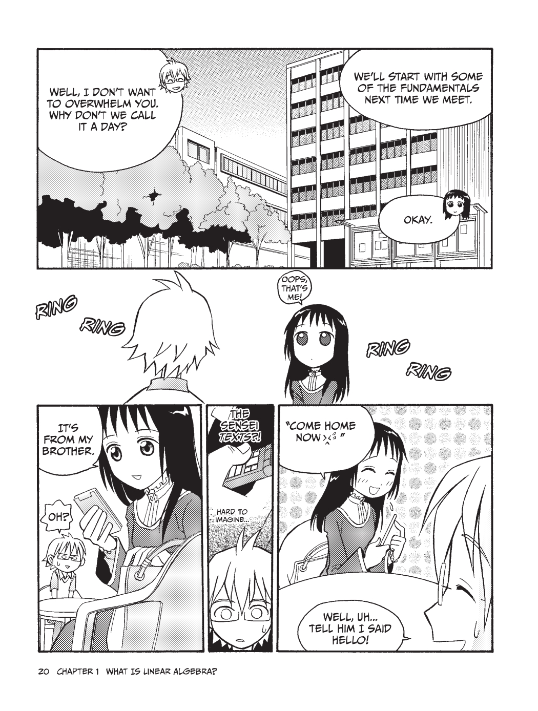 The Manga Guide to Linear Algebra Ch. 1 Chapter 1