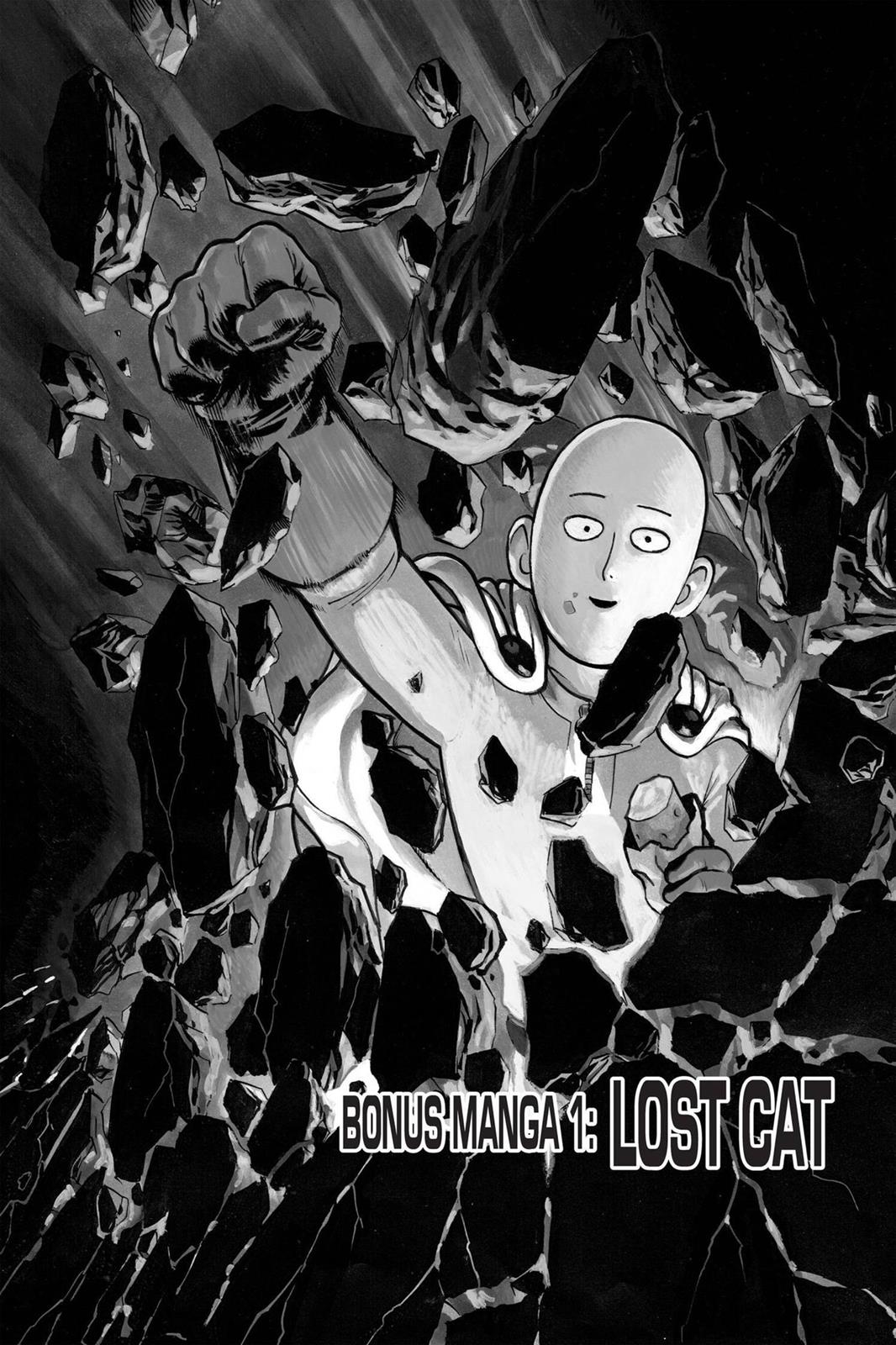 Onepunch-Man Chapter 40.5