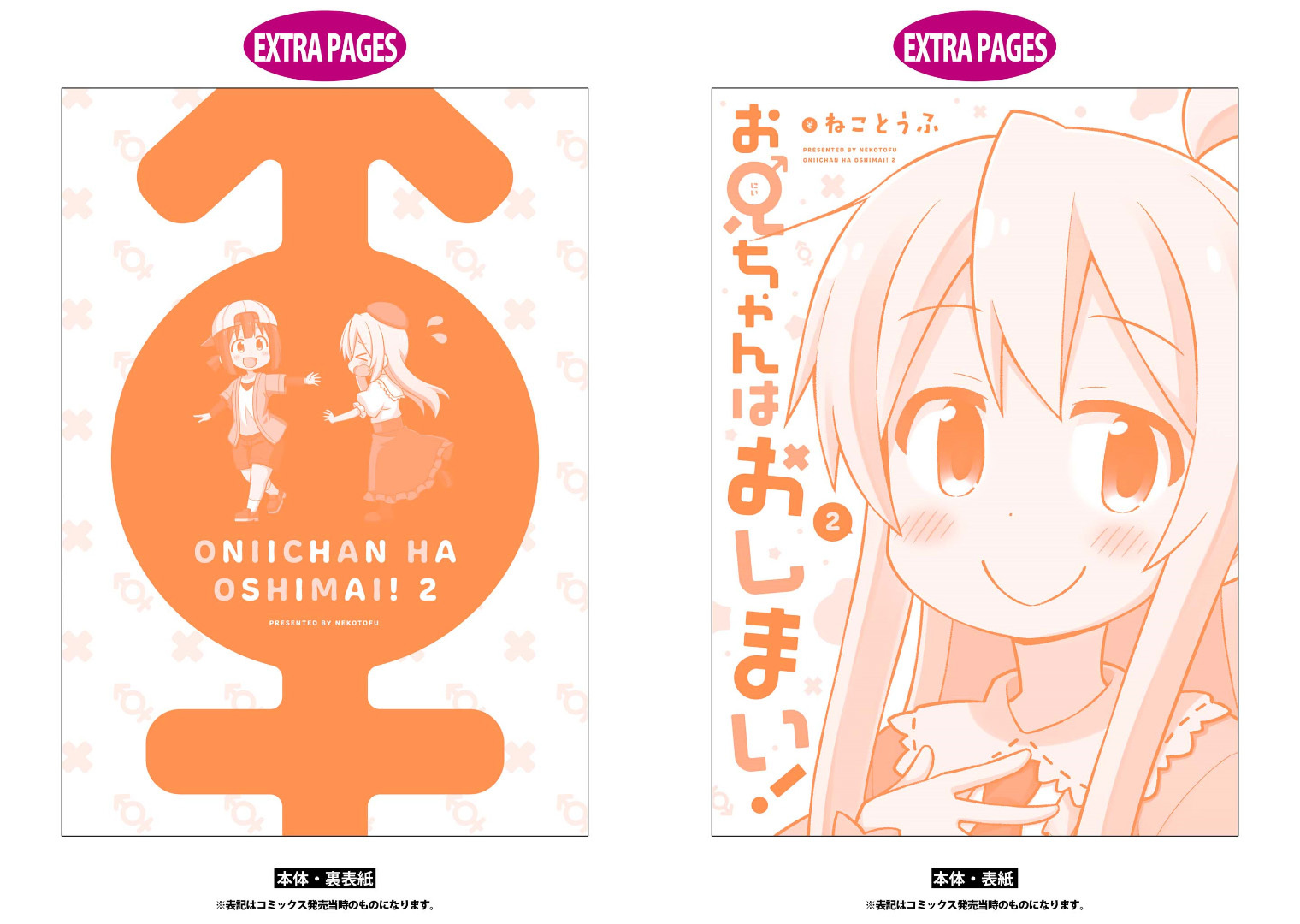Onii-chan wa Oshimai vol.2 ch.20.9