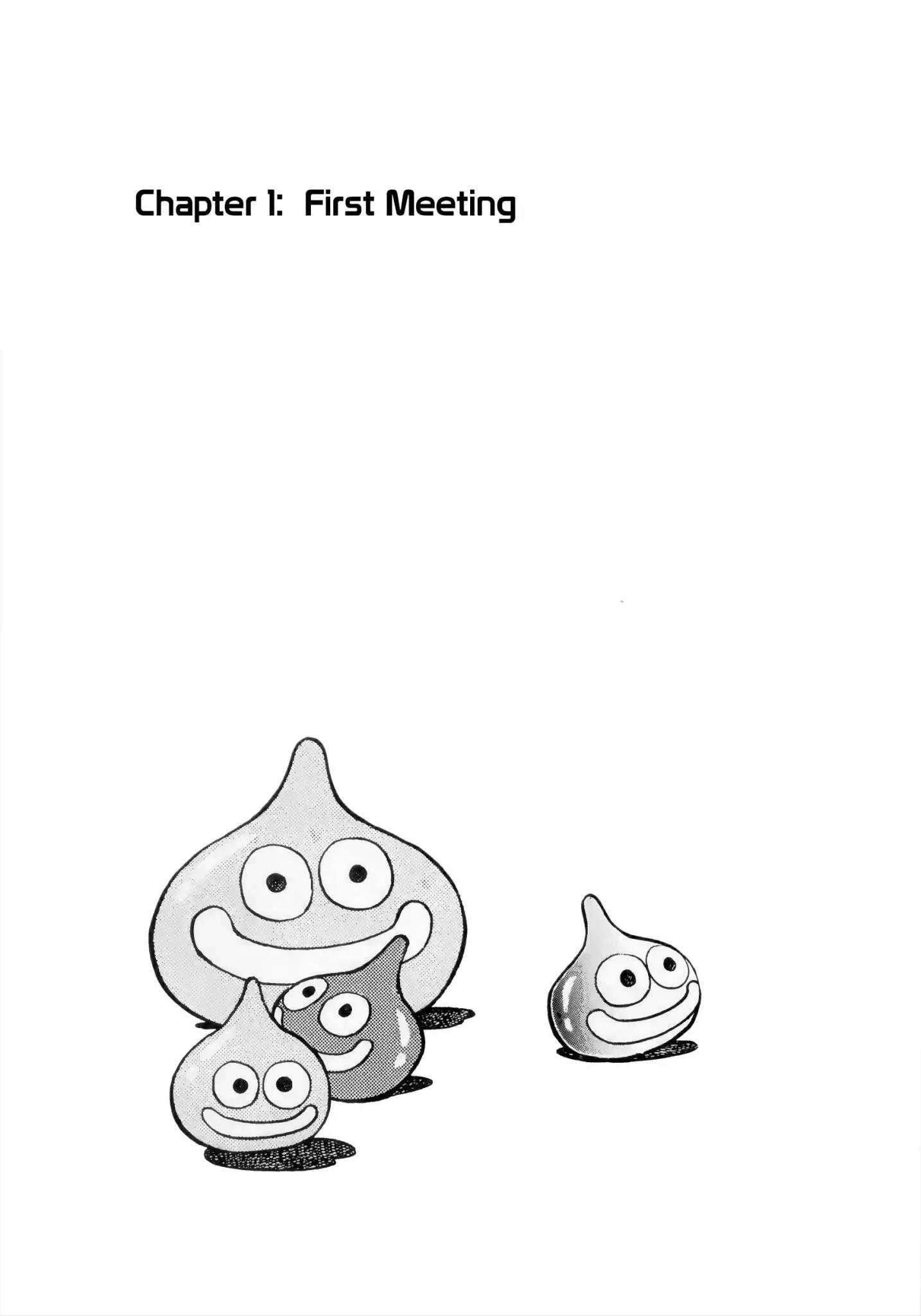 Making of Dragon Quest Vol.1 Chapter 1: