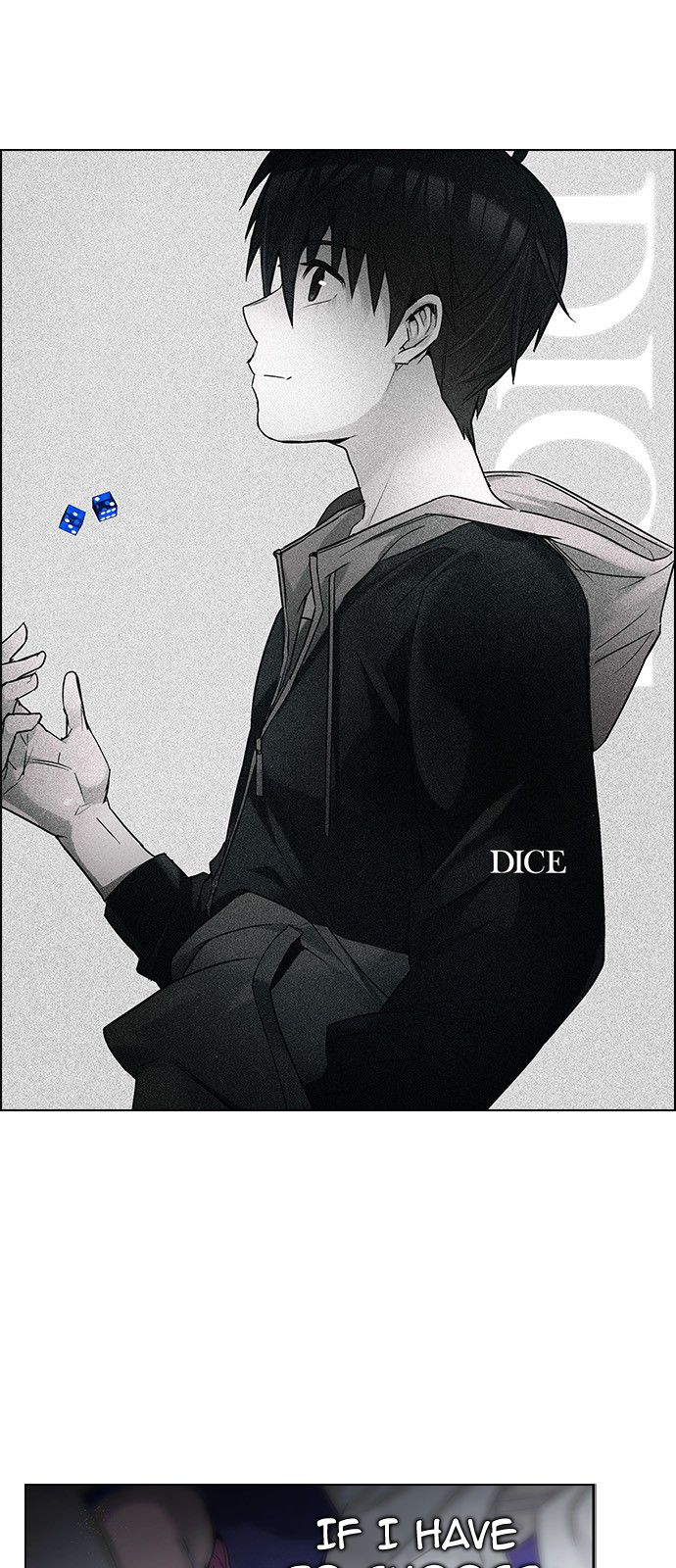 DICE Chapter 196