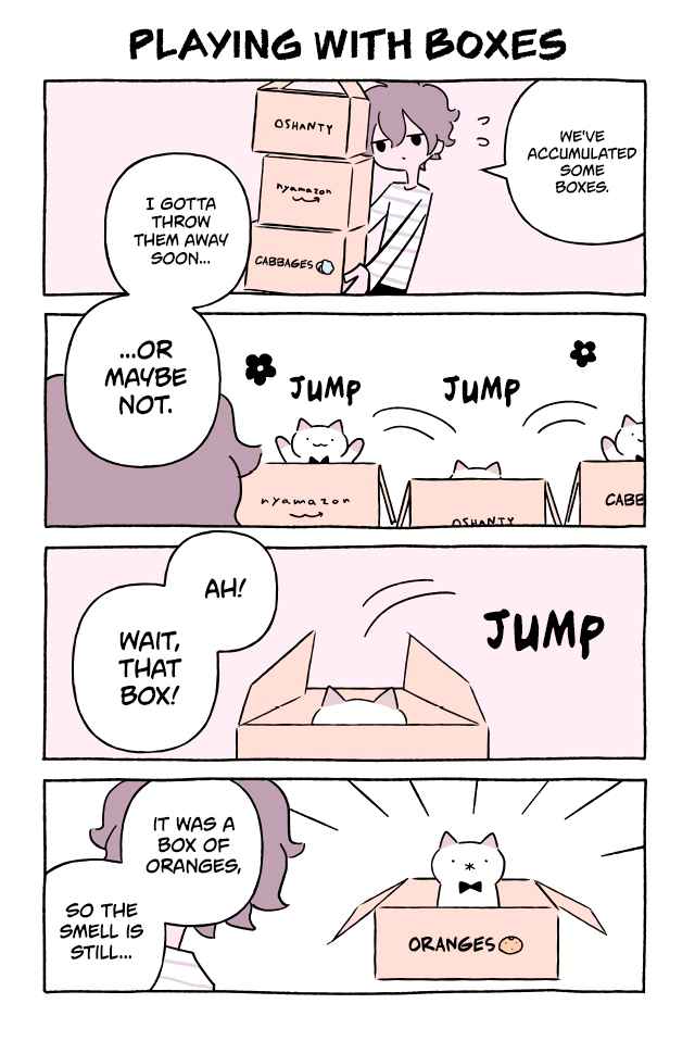 Wonder Cat Kyuu chan Vol. 6 Ch. 583 Playing with Boxes