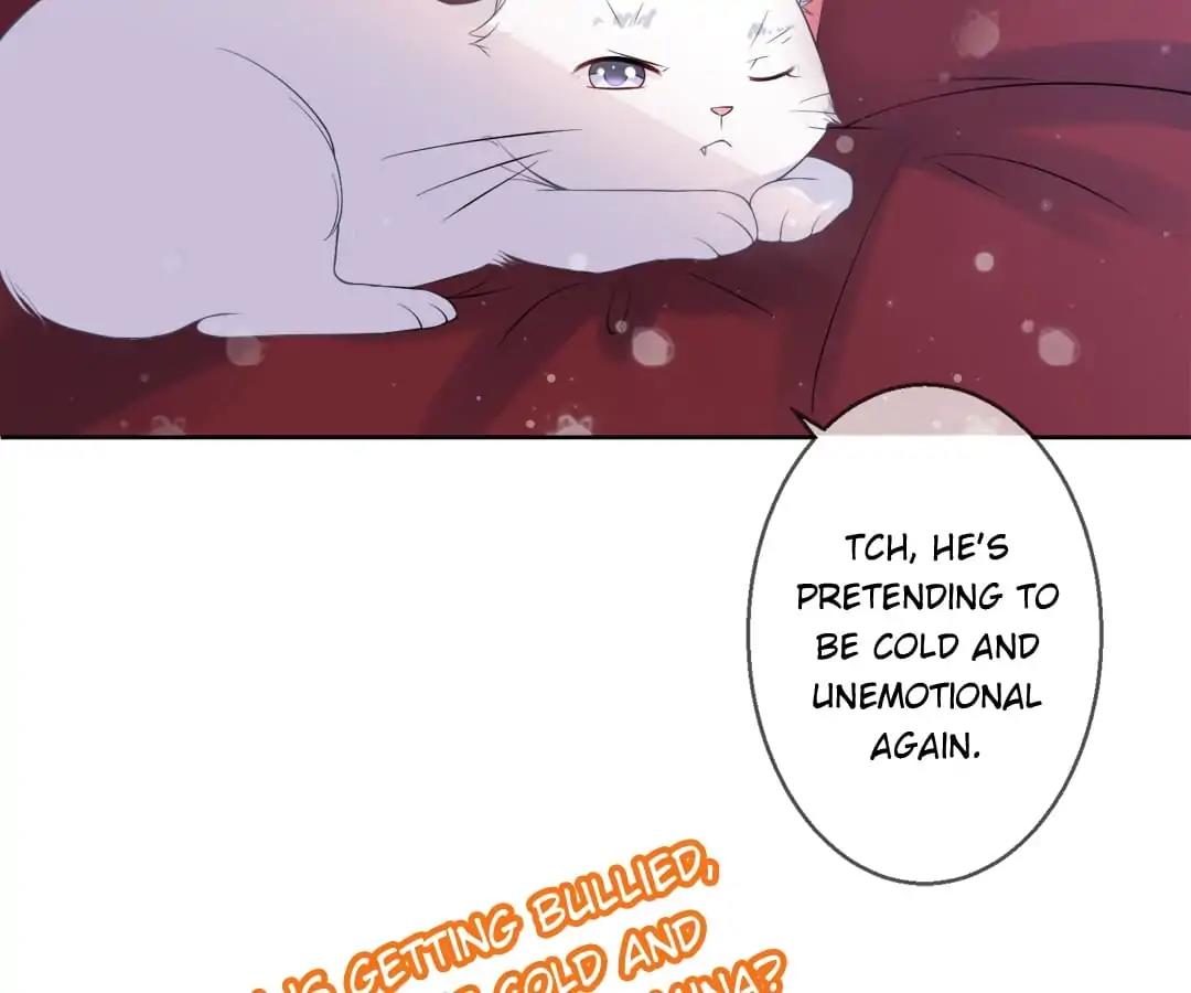 Popular Deskmate is A Cat Chapter 5