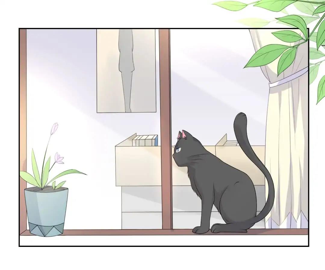 Popular Deskmate is A Cat Chapter 7