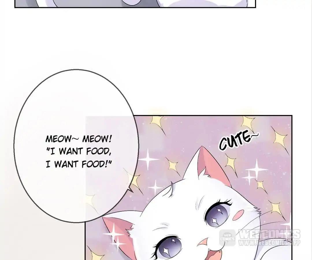 Popular Deskmate is A Cat Chapter 35