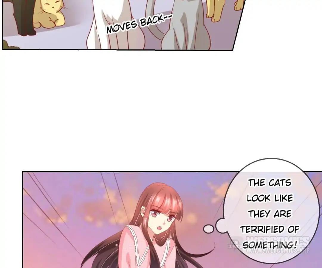Popular Deskmate is A Cat Chapter 46