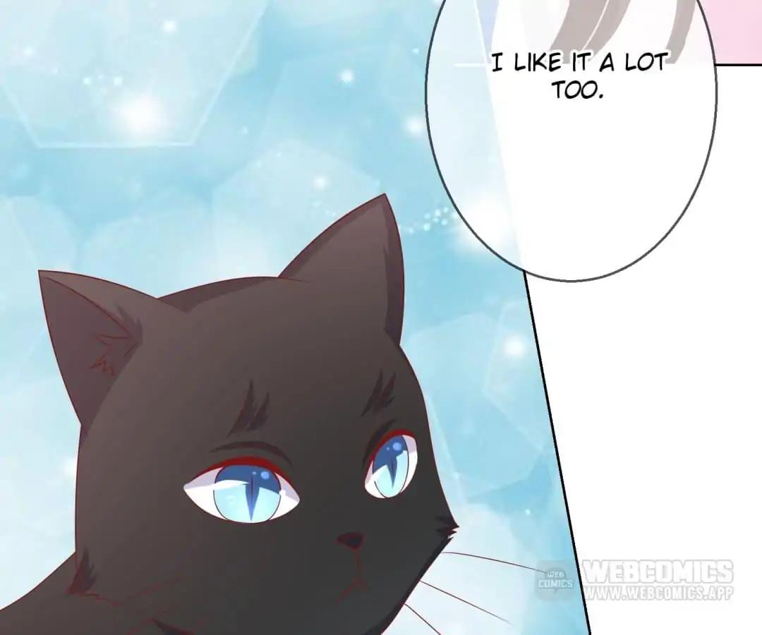 Popular Deskmate is A Cat Chapter 70