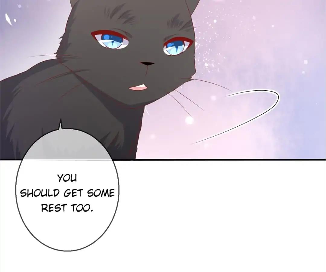 Popular Deskmate is A Cat Chapter 78