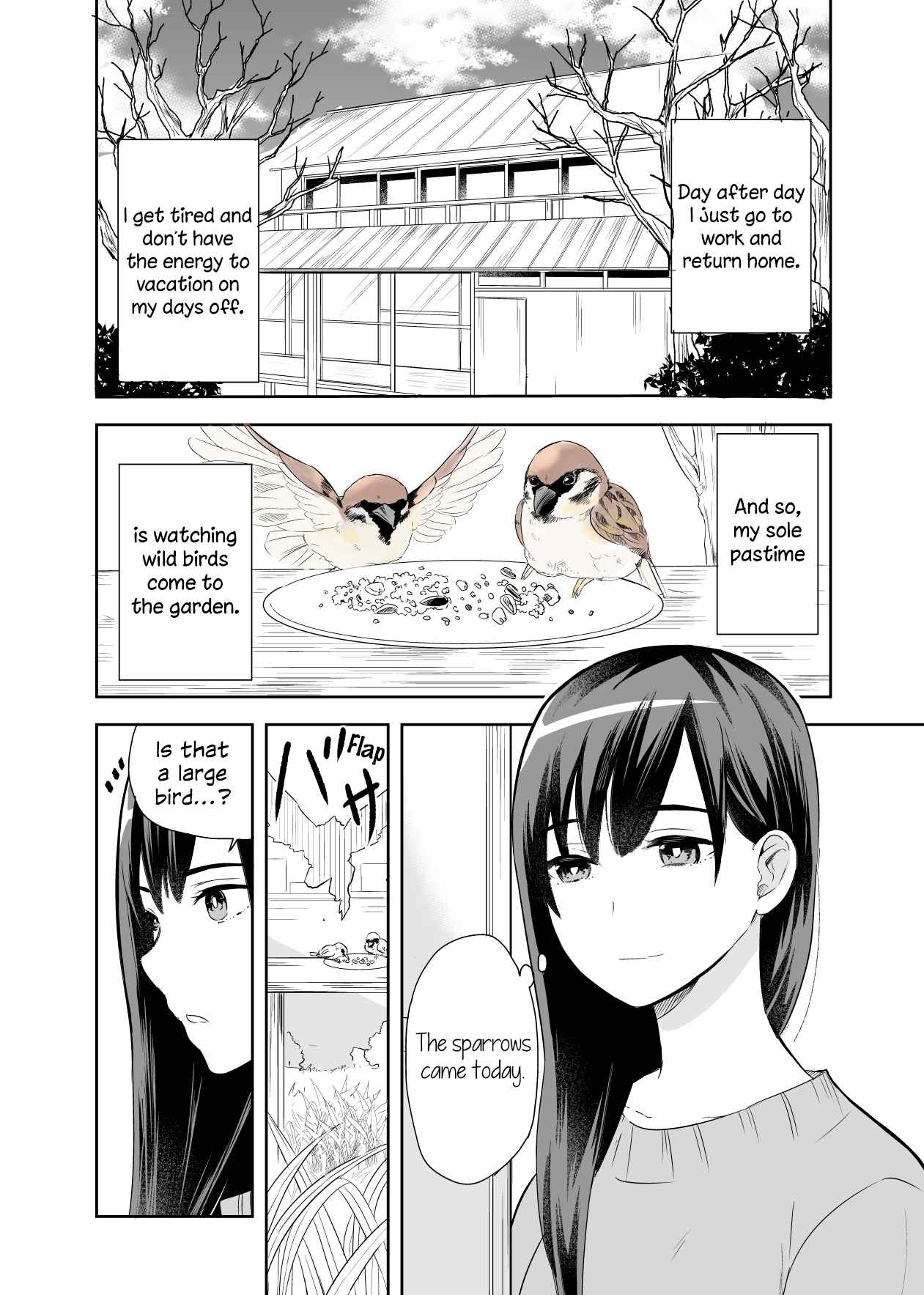 A Cute Bird Comes to an Office Lady Who Is Tired and Healed by Birdwatching Oneshot