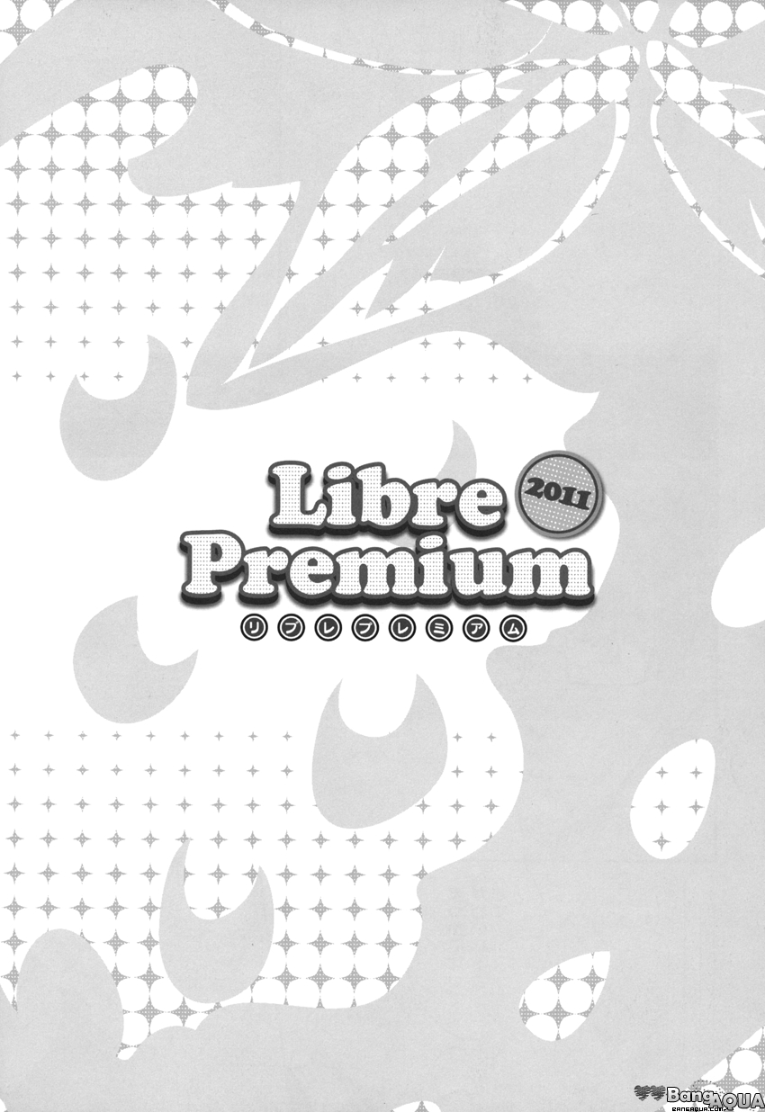 Hidoku Shinai de Liber Premium 2011