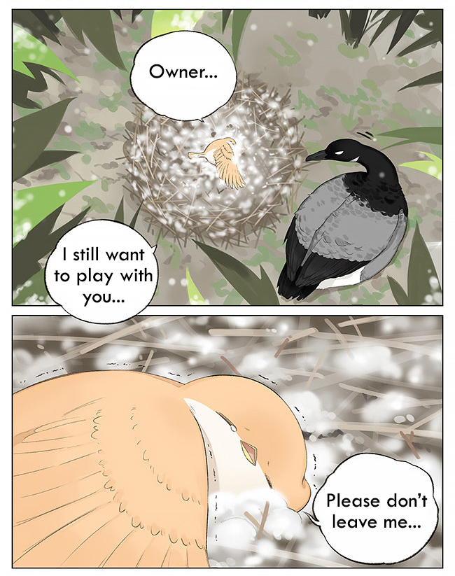 Southern Bird and Northern Bird Ch. 5 It's Snowing