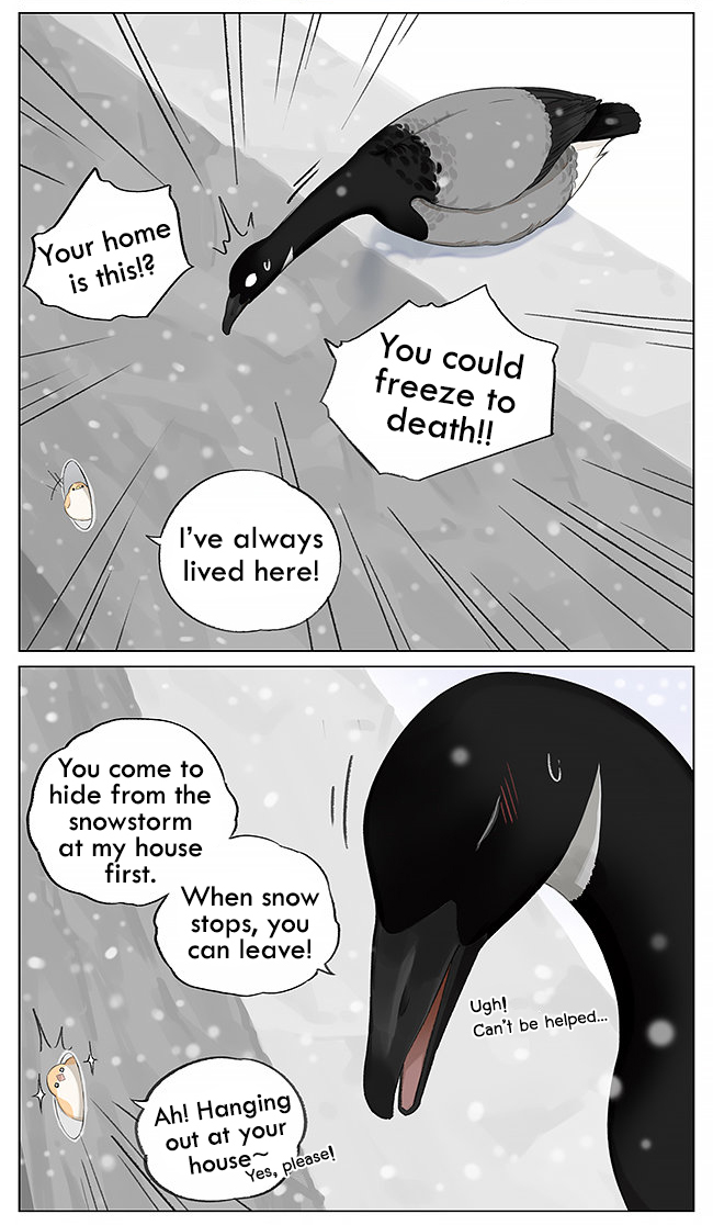 Southern Bird and Northern Bird Ch. 5 It's Snowing