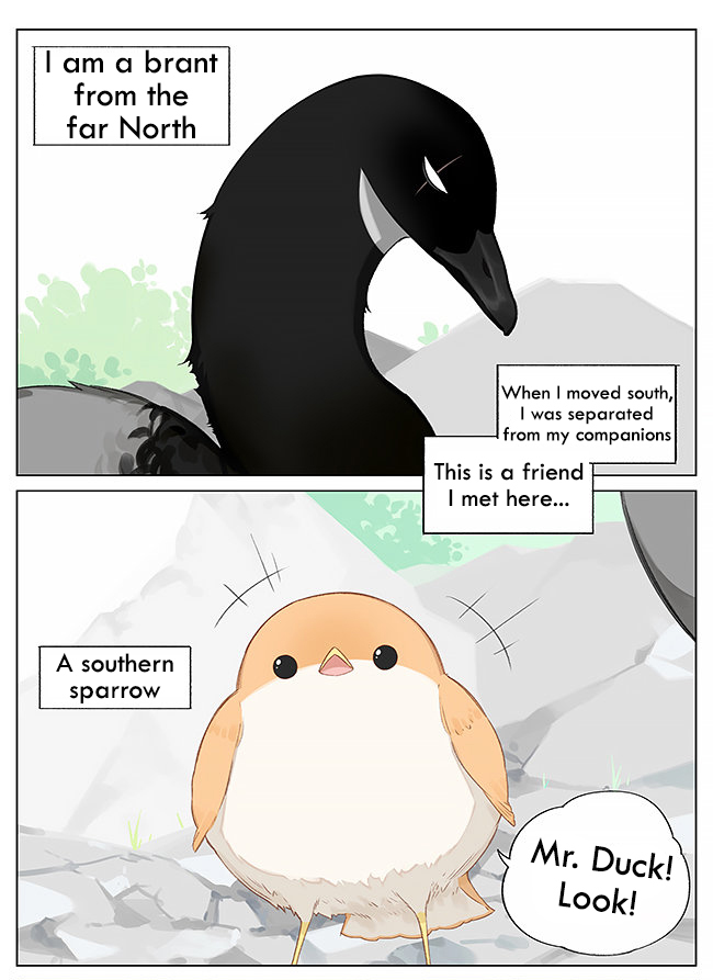 Southern Bird and Northern Bird Ch. 8 Swimming