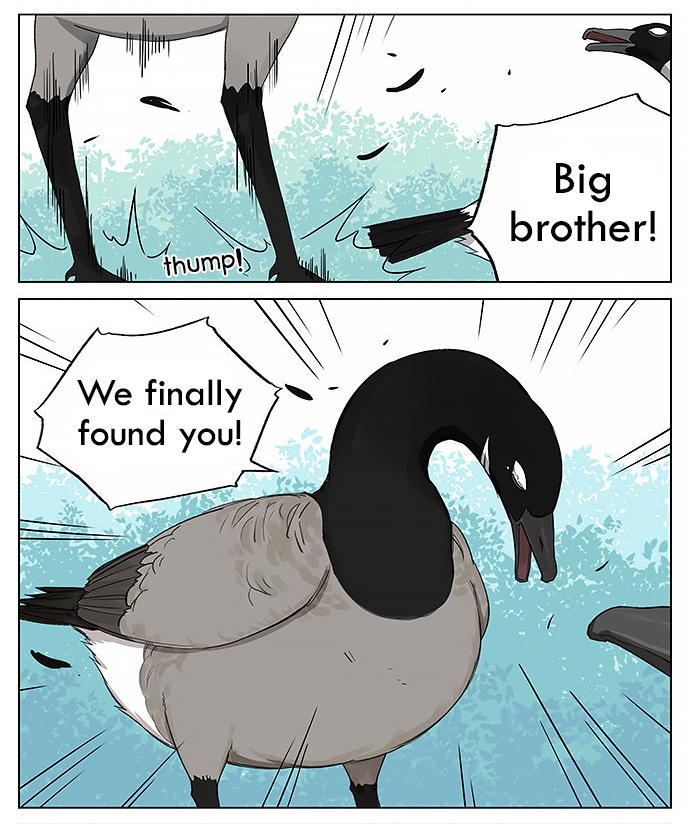 Southern Bird and Northern Bird Ch. 19 Back to the North