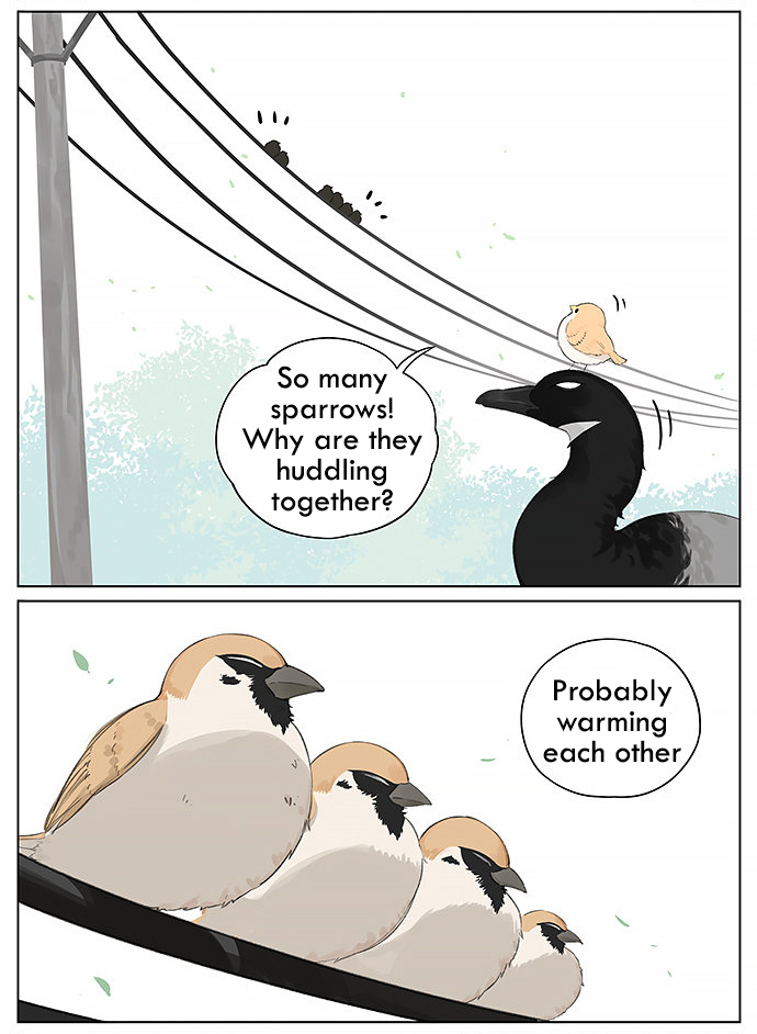 Southern Bird and Northern Bird Ch. 24 Birds Warming Each Other in Winter