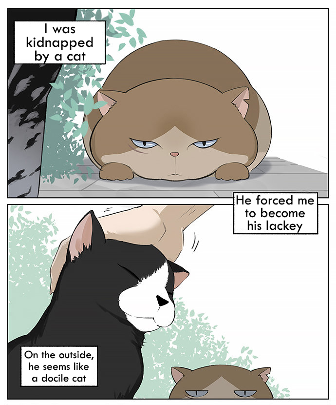 Southern Bird and Northern Bird Ch. 26 Chubby Cat