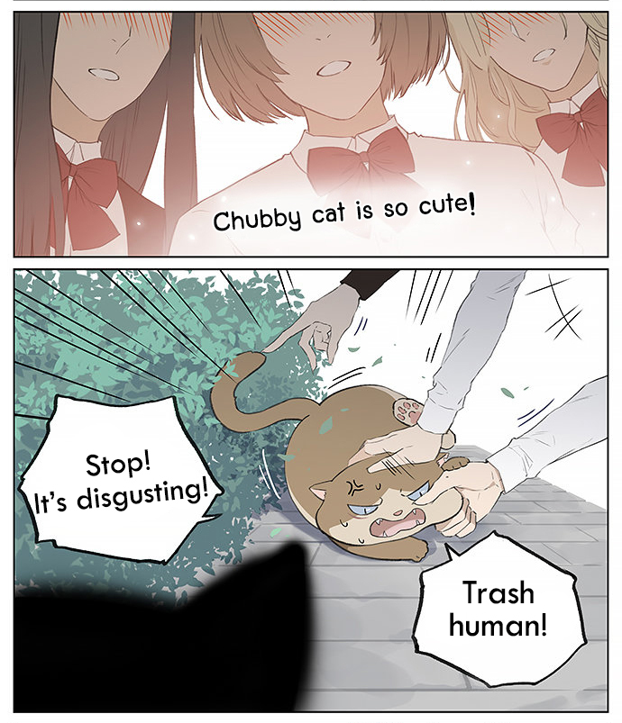 Southern Bird and Northern Bird Ch. 26 Chubby Cat