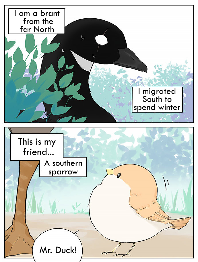 Southern Bird and Northern Bird Ch. 31 Brant vs Goose