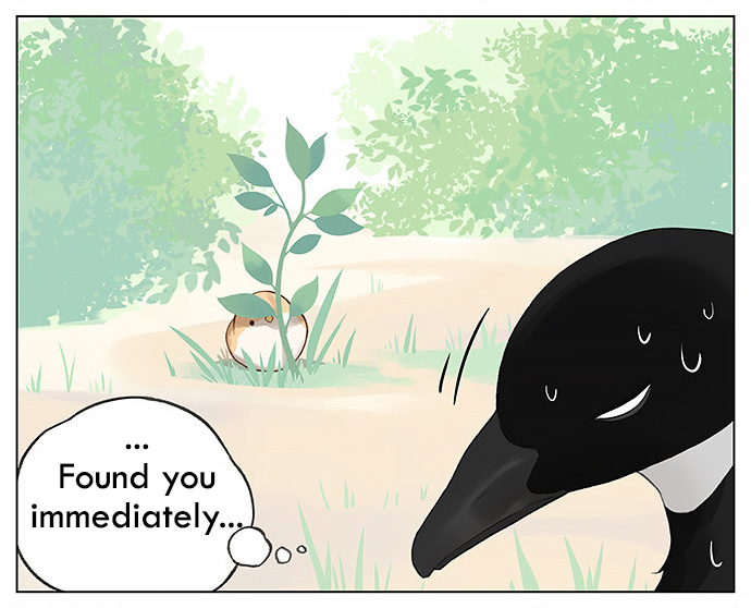 Southern Bird and Northern Bird Ch. 33 Hide and Seek